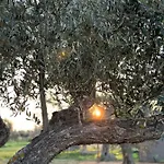 Lejlighed Peristerionas Estate *