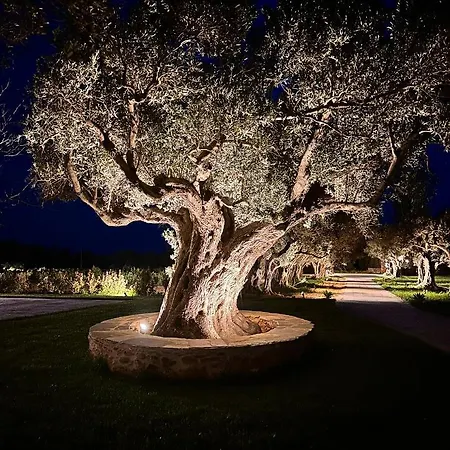 Peristerionas Estate *